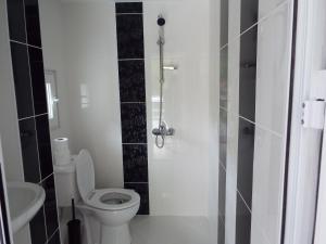 een kleine badkamer met een toilet en een douche bij The Illuminating House in Lomnitsa