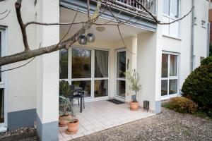 eine Haustür mit Topfpflanzen in der Unterkunft Am Feigenbaum in Albisheim