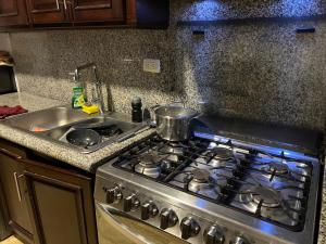 einen Küchenherd mit einem Topf neben einer Spüle in der Unterkunft Condo 1bdr 1bth with kitchen and garden in Punta Cana