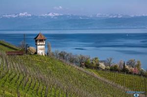 a lighthouse on a hill next to the water at Spatzennest am Bodensee in Bermatingen