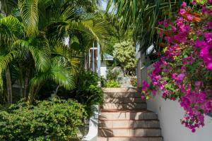 Κήπος έξω από το True Story- Ocean views Private pool Backup Power