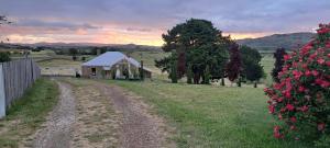 a small house in a field next to a dirt road at Heartland cottage in Ross