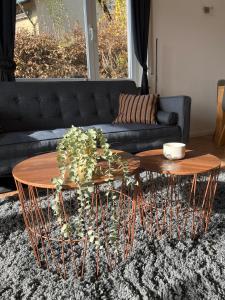 阿尔布斯塔特Ruhige Wohnung mit Pano Blick的客厅配有两张桌子和一张沙发