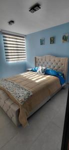 Giường trong phòng chung tại Apt zona turisitica Lago Sochagota