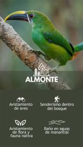 Άλλα ζώα σε αυτό το κάμπινγκ ή στη γύρω περιοχή