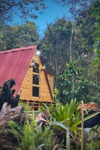 Κήπος έξω από το Almonte Glamping