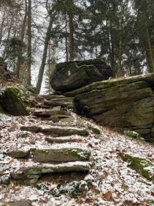 Naturlandskabet i nærheden af lejligheden