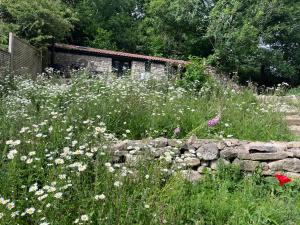 Κήπος έξω από το The Garden Hut