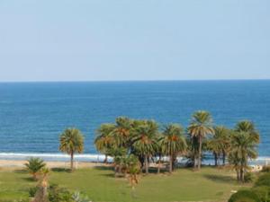 a group of palm trees on the beach at Hôtel César Palace in Sousse