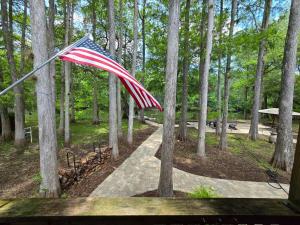 Zahrada ubytování Stunning Withlacoochee Riverside Cabin 5BR 4BA Sleeps 16
