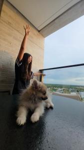 Billede fra billedgalleriet på Premium Gav Resort i Salinópolis