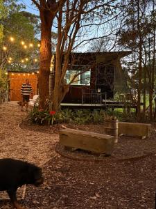 Fotografie z fotogalerie ubytování Sol On Loten v destinaci Mitchells Island