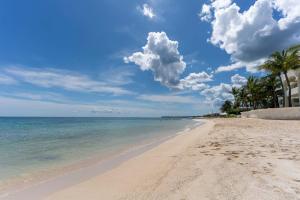 LafitteCasa Palma - 2BR - Pool Palms & Paradise的有棕榈树和大海的沙滩 更多49张照片