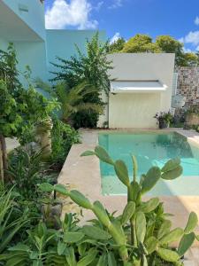 Bazén v ubytování El Oasis nebo v jeho okolí