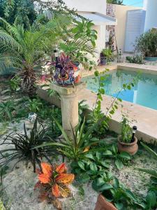 un giardino con una vasca per uccelli con piante e una piscina di El Oasis a Chelem