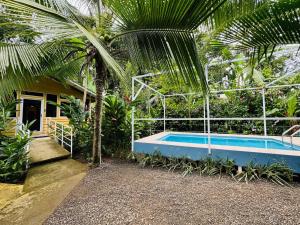 蓬塔乌巴Casa Amarilla in Playa Chiquita - with shared swimming pool -的棕榈树旁带游泳池的房子