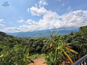 Loodusmaastik puhkemaja lähedal