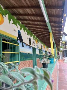 eine Gruppe Vögel, die an der Seite eines Gebäudes sitzen in der Unterkunft Hotel Boutique El Paisaje in Santa Bárbara