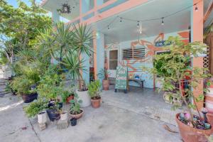 Zahrada ubytování LoveSoulBeautiful Luquillo