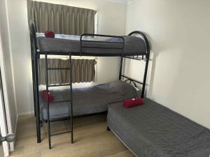 une chambre avec deux lits superposés et un lit dans l'établissement Maclean Riverside Cabin Park, à Maclean