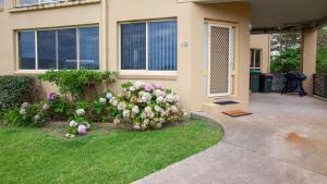 een huis met bloemen in de voortuin bij Beachview Unit2 ,33 Scenic Drive, Bermagui in Bermagui +3 foto's