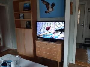 Köpmannebro5 person holiday home in KÖPMANNEBRO的一台电视机放在一个木制电视柜上，电视柜上画着一只鸟。