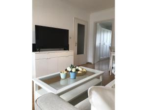 TV a/nebo společenská místnost v ubytování at the gates of Hamburg