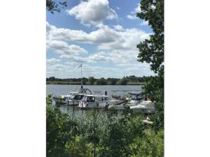 Výhled na řeku, která protéká v blízkosti apartmánu