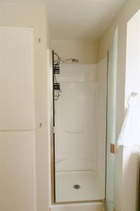una doccia in un bagno con una porta in vetro di Willow South Cottage a Moscow Altre 23 foto