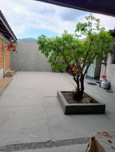 Κήπος έξω από το casa praia matinhos