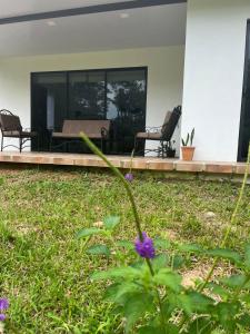 a house with a garden with two chairs and a table at La casita in General Viejo
