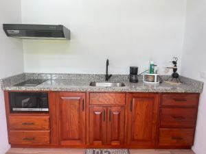 a kitchen counter with a sink and a microwave at La casita in General Viejo