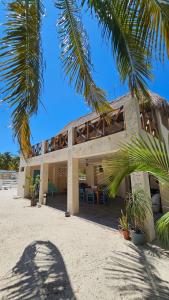 a house on the beach with a palm tree at Apartment with jacuzzi and beach club access in Telchac Puerto