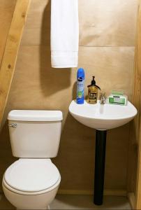 マナグアにあるCielos D Amoreのトイレと洗面台のあるバスルーム