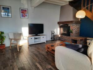 a living room with a tv and a fireplace at Le Cocon Bleu in Saint-Pierre-en-Port