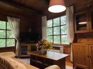 a living room with a tv and some windows at Charmantes Ferienhaus mit Terrasse in der Südheide in Eschede