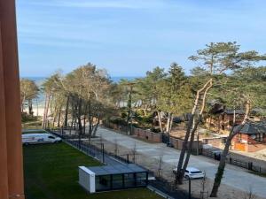 Naturlandskabet i nærheden af lejligheden