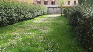 a garden with white flowers in the grass at B&B Casa Carbonara in Cividale del Friuli