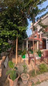 Κήπος έξω από το Entire Villa in Darbhanga