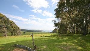 a field with trees and a fence in the grass at Cuttagee Beach Cottage 1 - Tathra Bermagui Rd 3521 in Barragga Bay