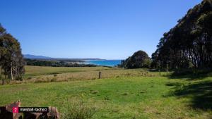 a field of grass with the ocean in the background at Cuttagee Beach Cottage 1 - Tathra Bermagui Rd 3521 in Barragga Bay +1 photo