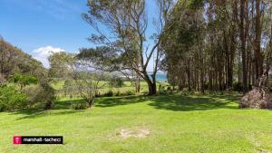 a grassy field with trees and the ocean in the background at Cuttagee Beach Cottage 1 - Tathra Bermagui Rd 3521 in Barragga Bay