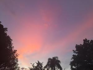 un cielo colorato con una palma in primo piano di Cantinho Descanvida Temporada a Água Boa