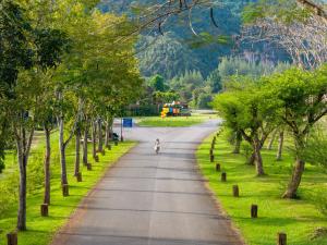 Příroda nedaleko rezortu