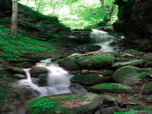 strumień wody płynący przez las z kamieniami w obiekcie Farmhouse near Afritzer See & Verditz Trails w mieście Innere Einöde +4 zdjęcia