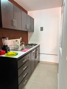 Una cocina con gabinetes negros y encimera. en apartamento robles, en Santa Cruz Huatulco