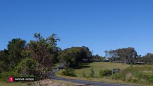 a road in the middle of a field with trees at Cuttagee Beach Cottage 5 in Barragga Bay +1 photo