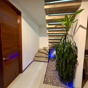 Φωτογραφία από το άλμπουμ του Casa Huamuche, warm and full of charm σε Yelateni