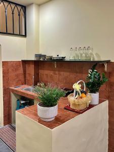 a kitchen with two potted plants on a counter at Nhà thơ Homestay in Cồn Giả Viên +18 photos