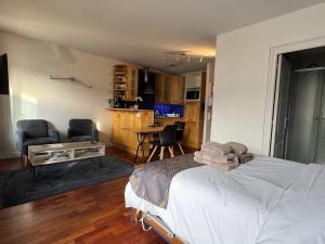 Η κουζίνα ή μικρή κουζίνα στο Grand Studio avec balcon, fibre internet - FR-1-555-121 +9 φωτογραφίες